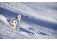 43_DZM_08786 kopie.jpg